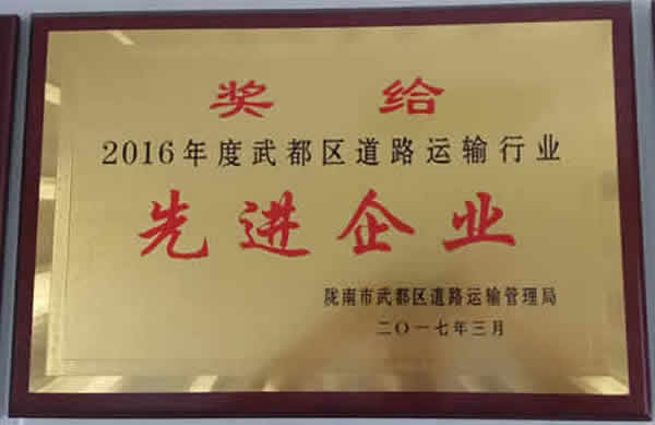 2016年度武都區道路運輸行業先進企業