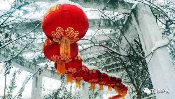 初春||兩大景點“一日游‘’3月8日開始每天發團