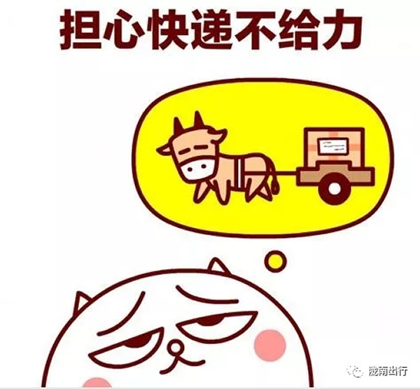 隴運集團武都汽車站、成縣汽車站、康縣汽車站快運